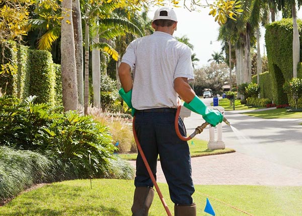 About Rocky Hill CT Pest Control
